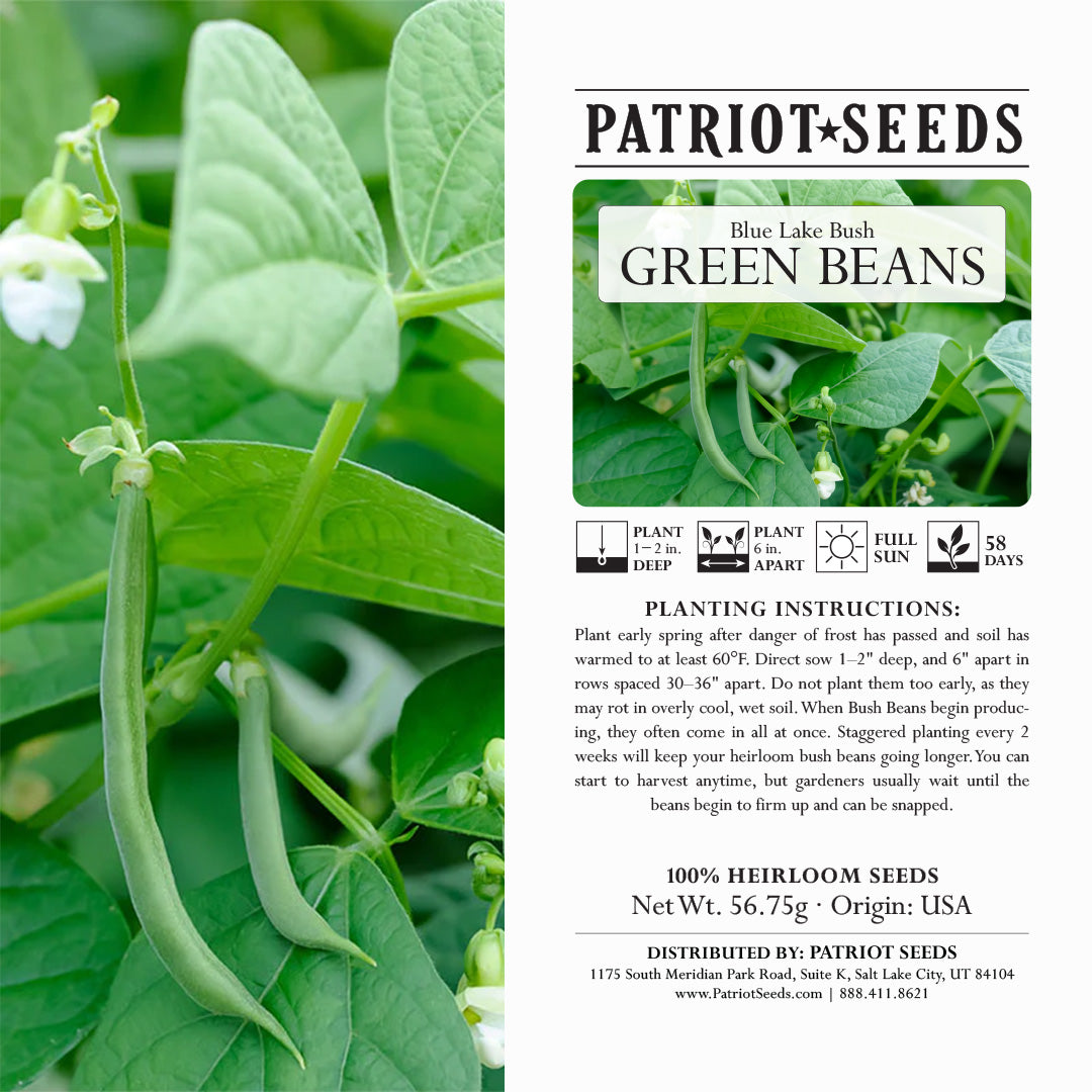 Heirloom Blue Lake Bush Beans (56.75mg) – Patriot Seeds