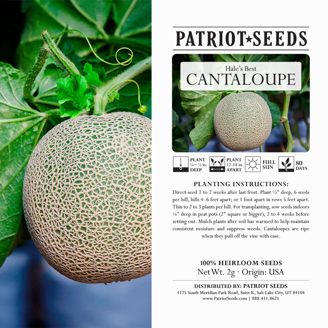 Heirloom Hales Best Cantaloupe Seeds (2g) – Patriot Seeds