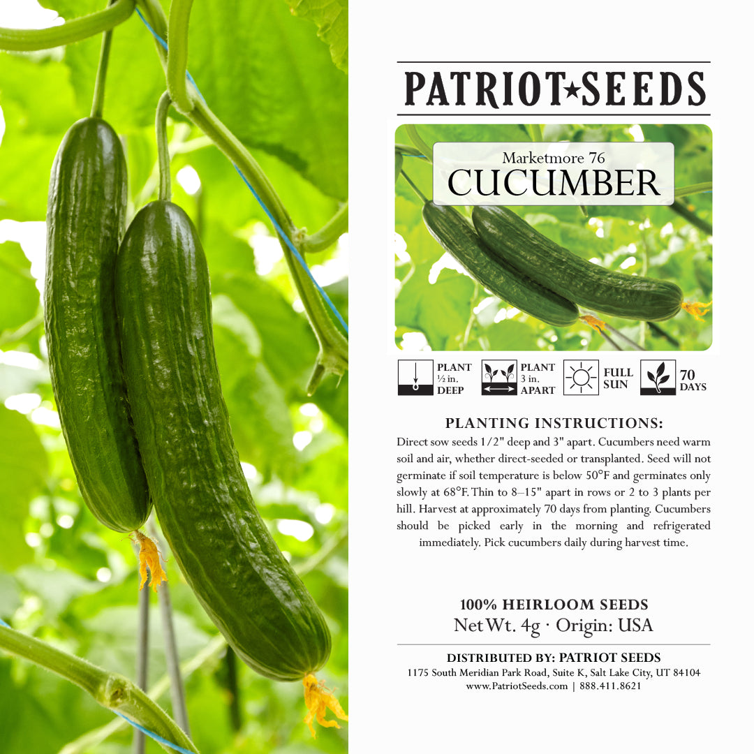 plant cucumber seeds Heirloom Marketmore 76 Cucumber Seeds (4g) – Patriot Seeds