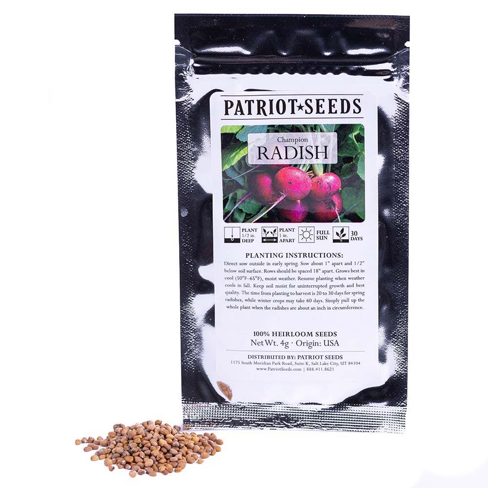 radish seeds from plant Heirloom Champion Radish Seeds (4g) – Patriot Seeds
