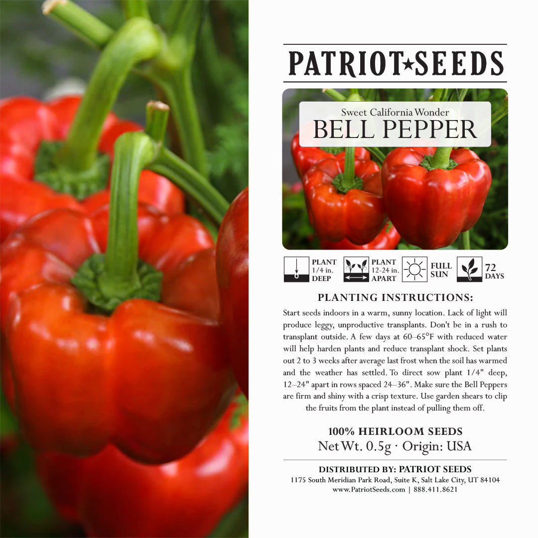 california wonder pepper plant Heirloom California Wonder Sweet Pepper Seeds (.5g) – Patriot Seeds