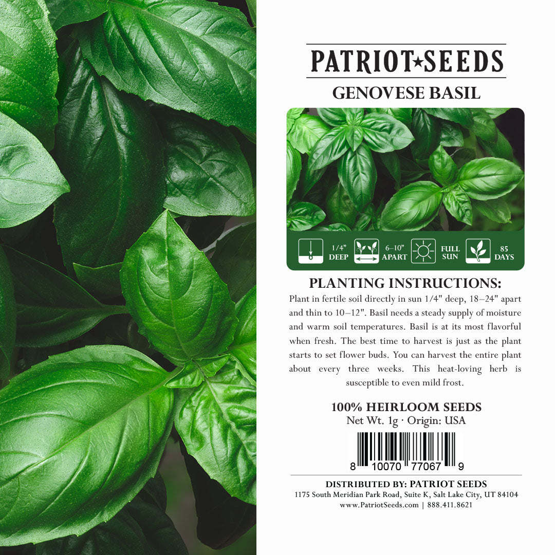 Patriot Seeds Heirloom Genovese Basil Herb Seeds 1g