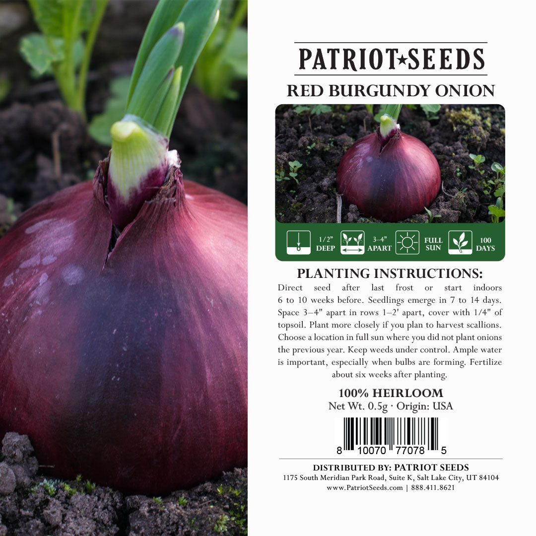 onion city Patriot Seeds Heirloom Red Burgundy Onion Seeds (.5g)