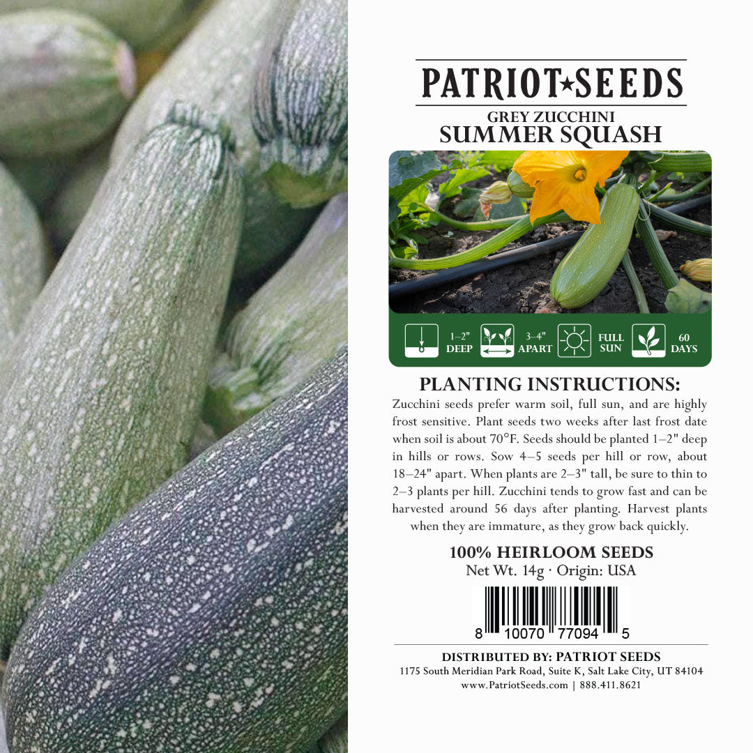 POLA 櫛 Patriot Seed Heirloom Grey Zucchini Summer Squash Seeds (14g