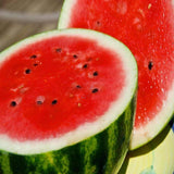 Heirloom Crimson Sweet Watermelon Seeds (3g)