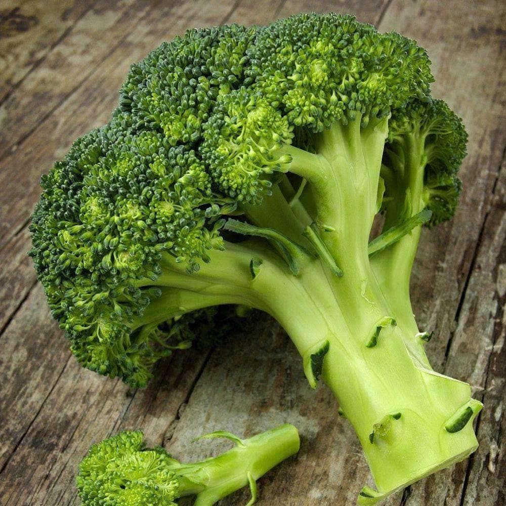 Patriot Seeds Heirloom Waltham 29 Broccoli Seeds (1g)