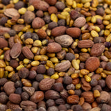 4-Part Salad Sprouting Seeds Mix (4 ounces)