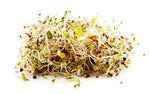 4-Part Salad Sprouting Seeds Mix (4 ounces)