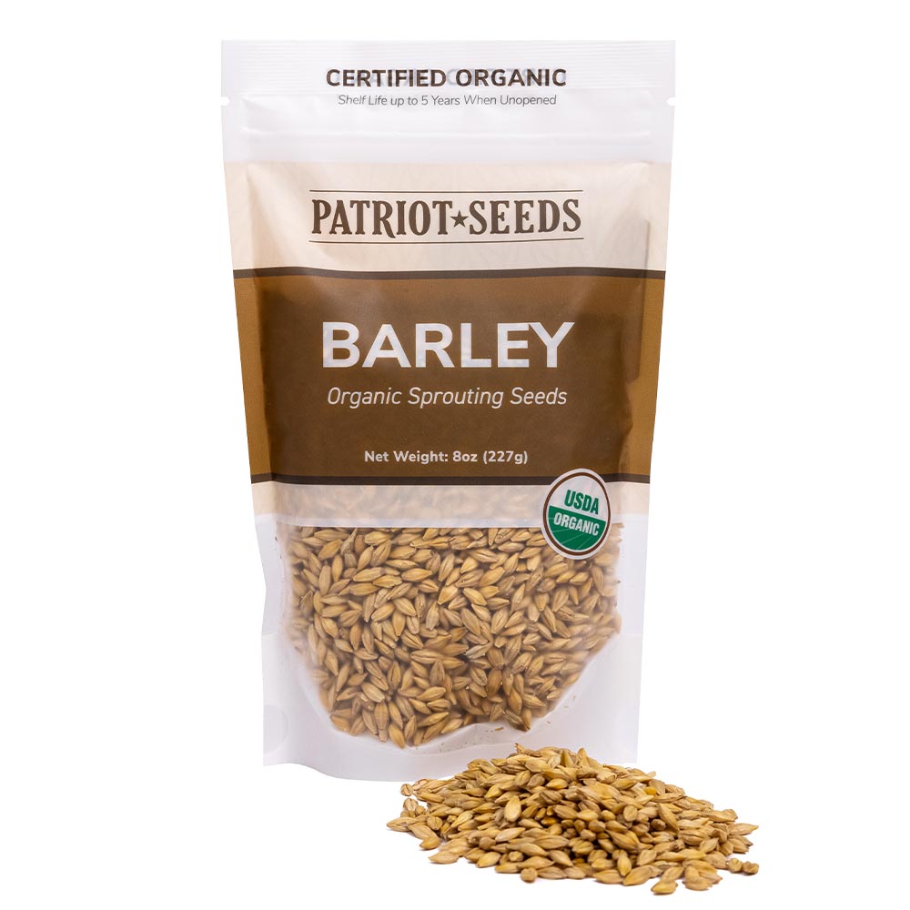 barley seed for planting near me Organic Barley Grass Sprouting Seeds