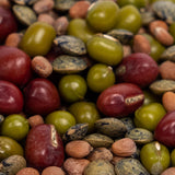 Organic Bean Salad Mix Sprouting Seeds (4 ounces)