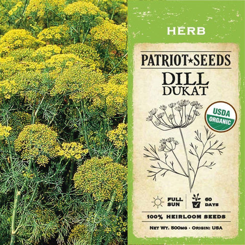 Dill Dukat Herb Seeds (500mg) - My Patriot Supply