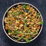 Organic Protein Powerhouse Sprouting Seeds Mix (8 ounces)
