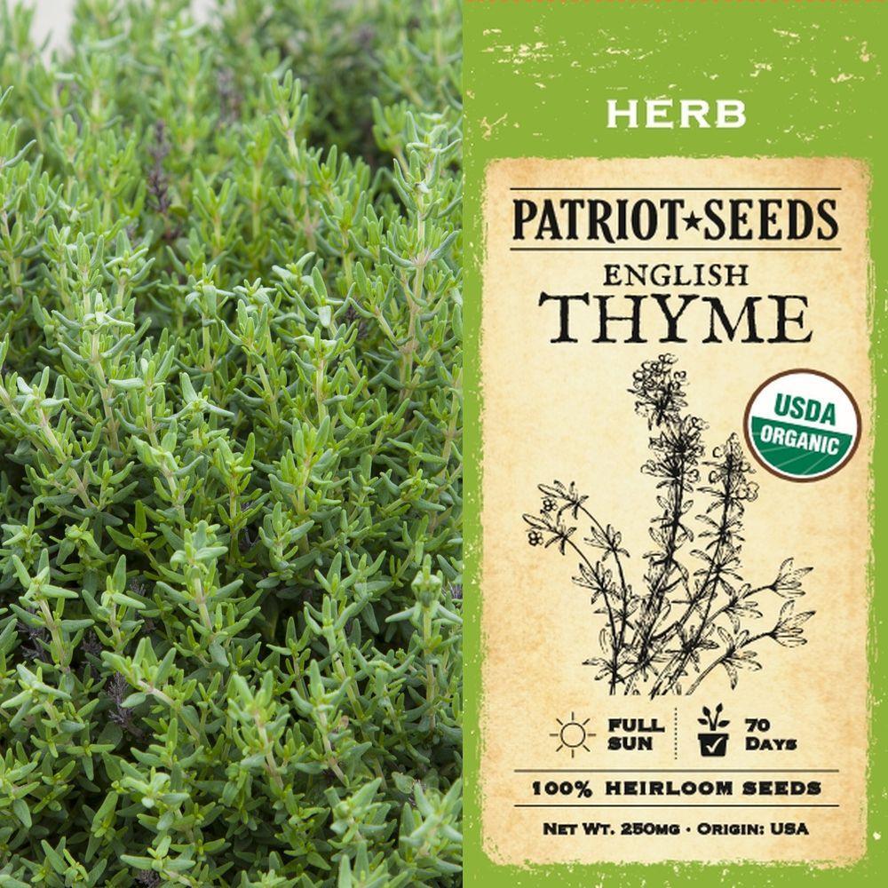 English Thyme Herb Seeds (250mg) Patriot Seeds