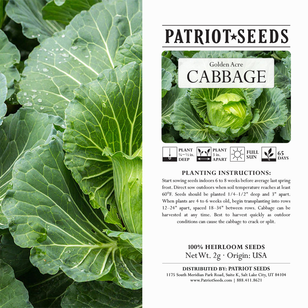 cabbage seed planting Heirloom Golden Acre Cabbage Seeds (2g) – Patriot Seeds