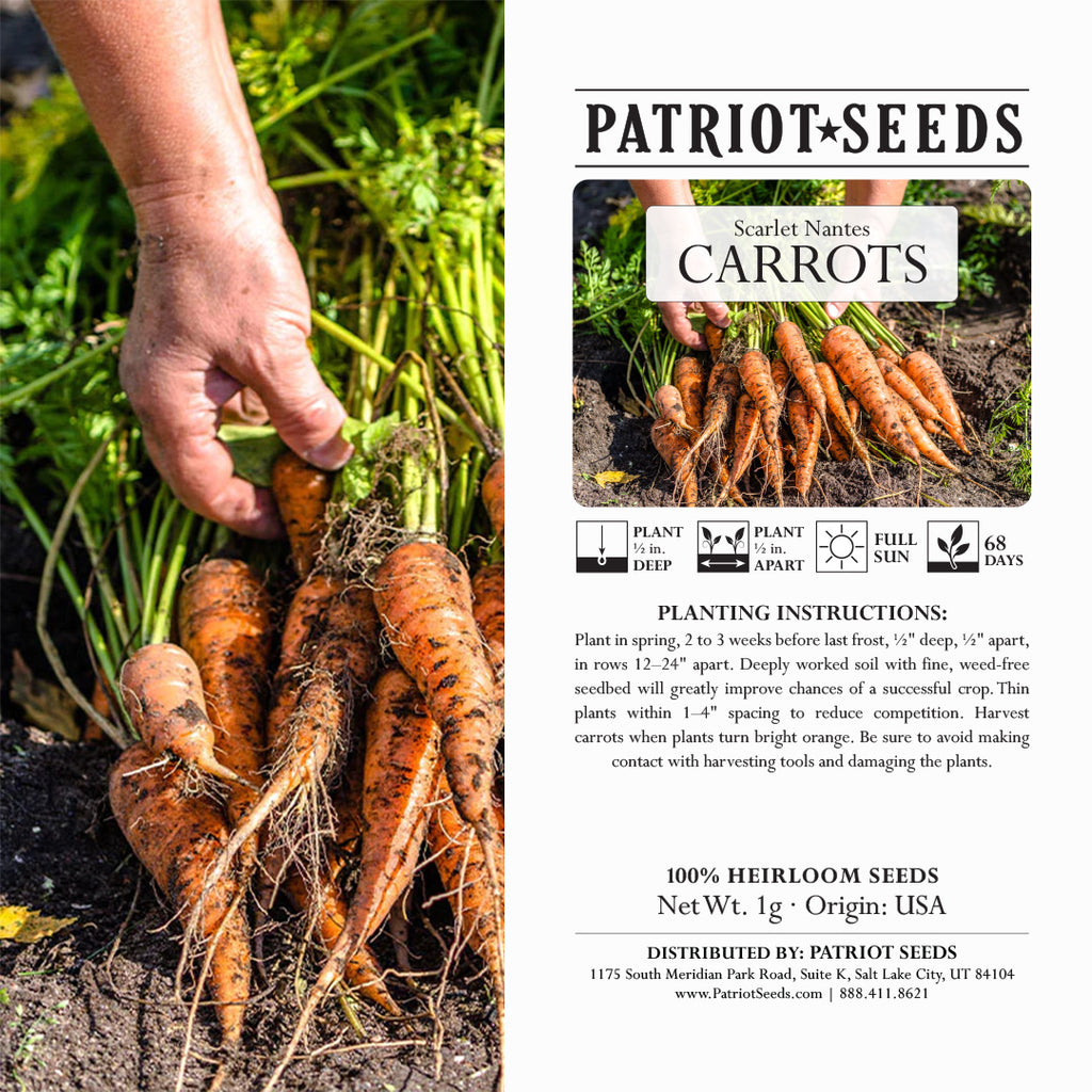 planting nantes carrot seeds Heirloom Scarlet Nantes Carrot Seeds (1g) – Patriot Seeds