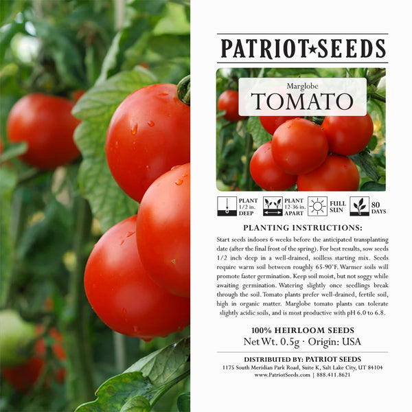 Heirloom Marglobe Tomato Seeds (.5g) – Patriot Seeds