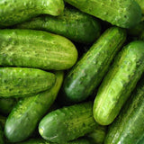 fresh pickles close up shot