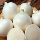 White Sweet Spanish Onion Seeds (.5g) - Patriot Seeds