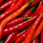 Hot Cayenne Long Red Thin Pepper Seeds (.5g) - Patriot Seeds