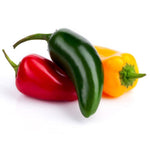 Jalapeno Pepper Seeds (.5g) - Patriot Seeds