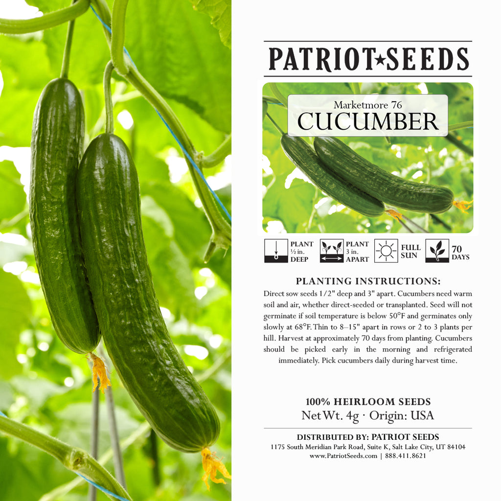 cucumber seeds for planting Heirloom Marketmore 76 Cucumber Seeds (4g) – Patriot Seeds