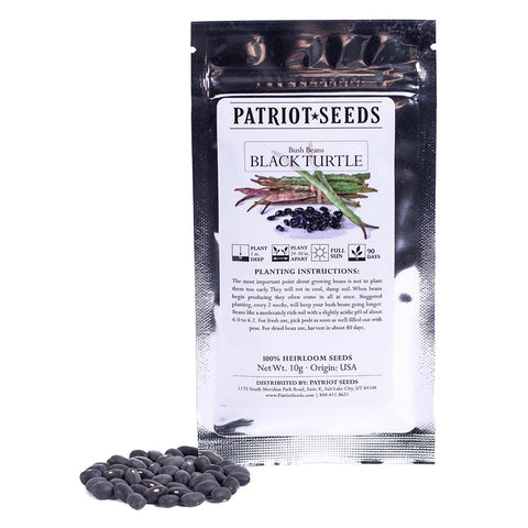 black bean seeds for planting Heirloom Black Turtle Bush Bean (10g) – Patriot Seeds