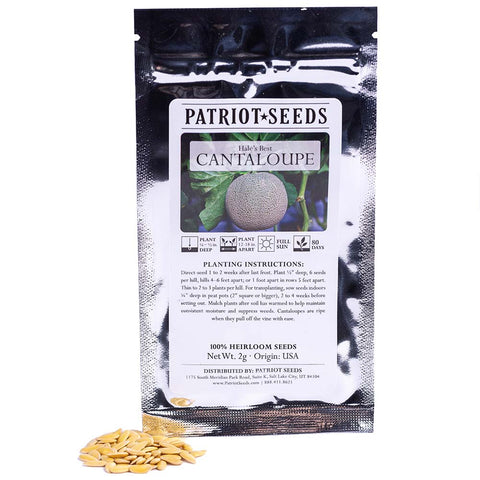 best fertilizer for cantaloupe plants Heirloom Hales Best Cantaloupe Seeds (2g) – Patriot Seeds