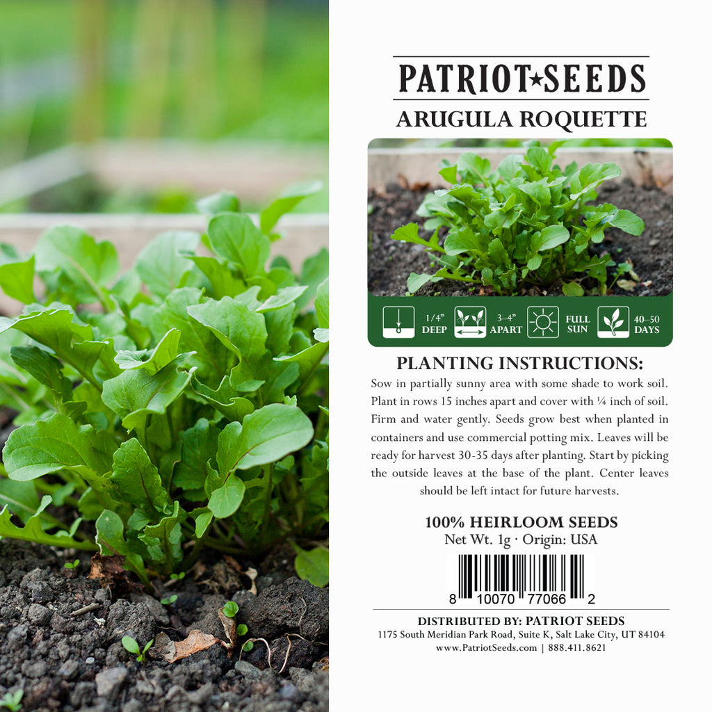 patriot garden seeds Arugula Roquette Herb Seeds (1g)