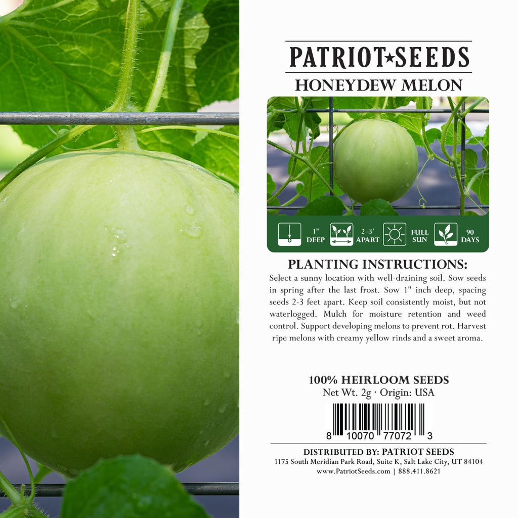 Heirloom Honeydew Melon Seeds 2g Patriot Seeds heirloom-honeydew-melon-seeds-2g-patriot-seeds