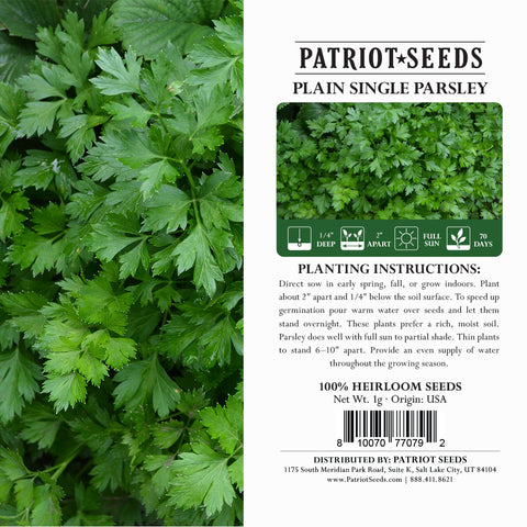 Patriot Seeds Heirloom Plain or Single Parsley Herb Seeds (500mg)