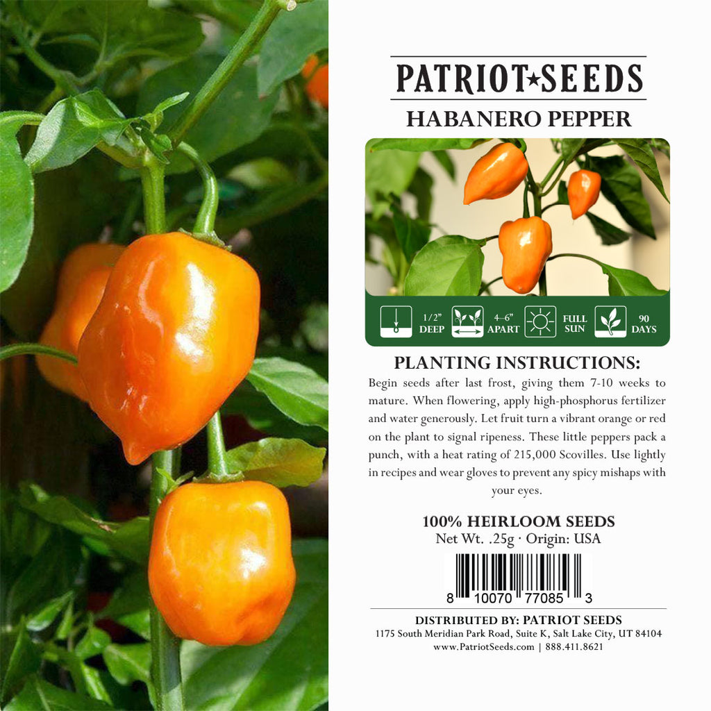 Patriot Seeds Heirloom Conventional Pepper: Hot - Habanero (.25g)