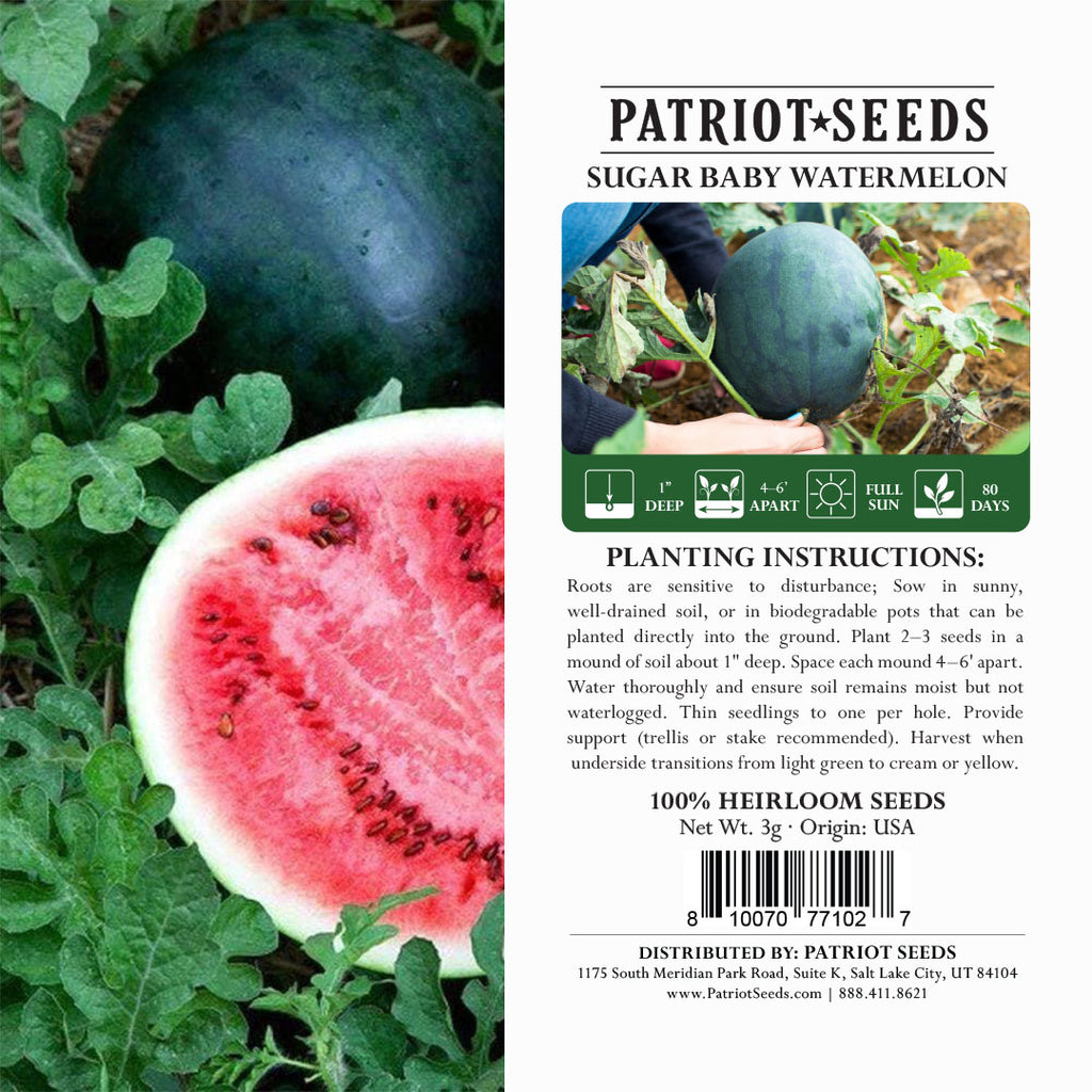 planting watermelon seeds Patriot Seeds Heirloom Sugar Baby Watermelon Seeds (3g)