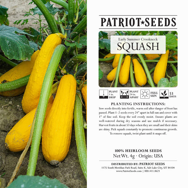 planting yellow crookneck squash seeds Heirloom Crookneck Squash Seeds (4g)