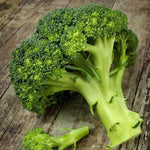 heirloom waltham 29 broccoli, fresh on a wooden table