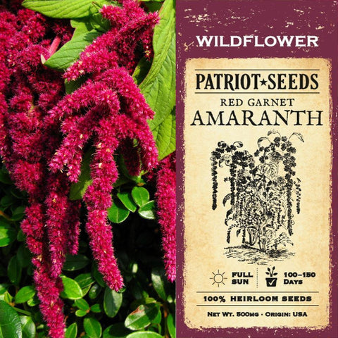 Red Garnet Amaranth Herb Seeds (500mg) - Patriot Seeds