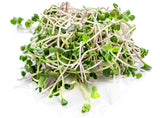 Organic Broccoli Sprouting Seeds (4 ounces)