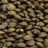 Organic Green Lentil Sprouting Seeds (4 ounces)