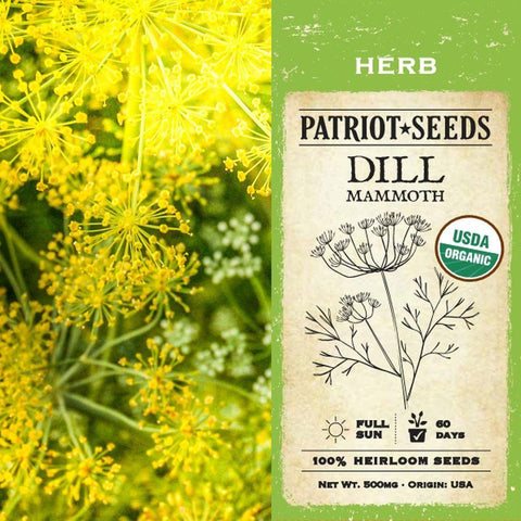 Organic Dill Mammoth Herb Seeds (500mg) - My Patriot Supply