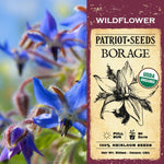 Organic Borage  Wildflower Seeds (500mg) - My Patriot Supply