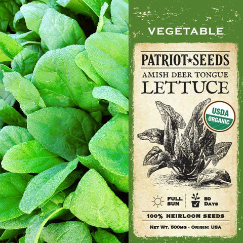 Organic Deer Tongue Amish - Leaf Lettuce Seeds (500mg) - My Patriot Supply
