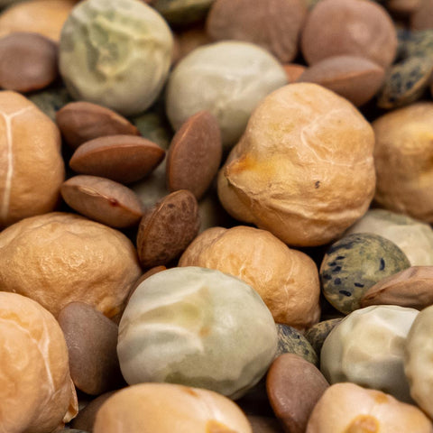 power plant seed mix Organic Protein Powerhouse Sprout Seeds Mix