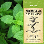 Peppermint Herb Seeds (100mg) - Patriot Seeds